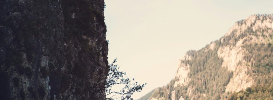 blog-5th